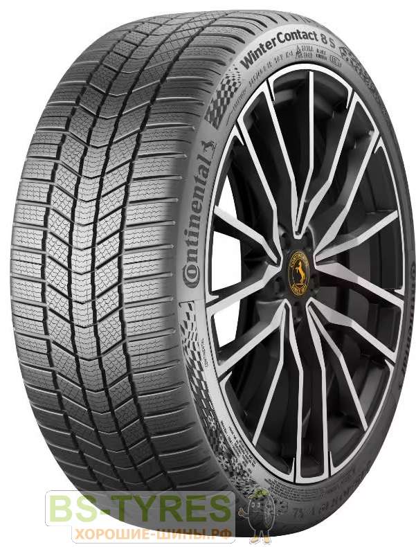 WinterContact 8S