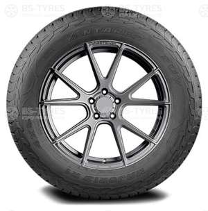 Antares Majoris R1 285/45 R22 114V