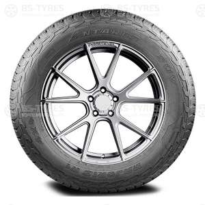 Antares Majoris R1 285/45 R22 114V