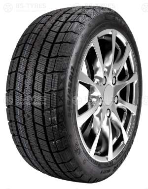 Centara Winter RX621 255/40 R20 101T