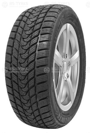 Delinte Winter WD1 165/70 R14 81T