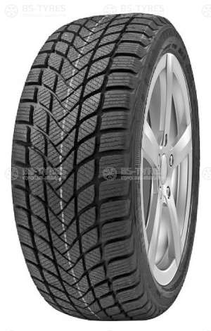Delinte Winter WD6 185/55 R15 82H