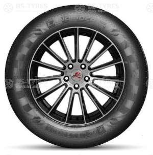 Doublestar DS01 225/60 R17 99H