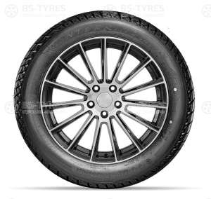 Doublestar DW01 225/55 R18 98T