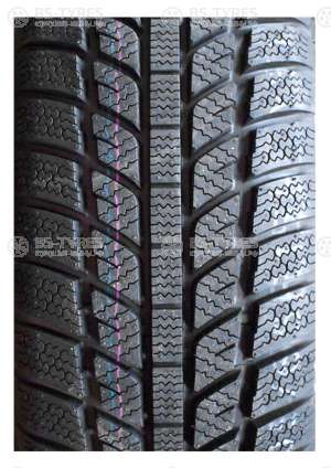 Evergreen Winter EW62 175/65 R15 84H