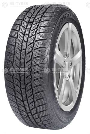 Evergreen Winter EW62 175/65 R15 84H