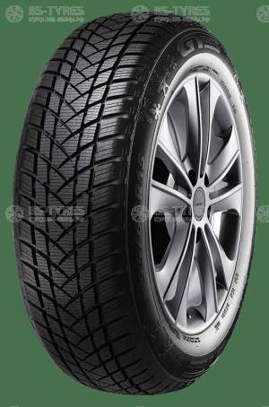 GT Radial Champiro WinterPro 2 205/55 R17 95H