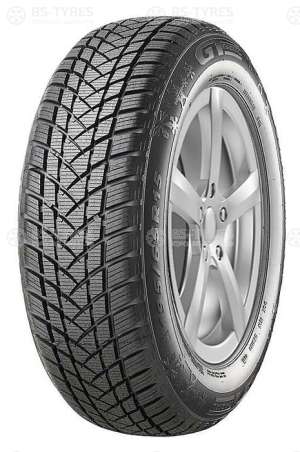 GT Radial Champiro WinterPro 2 205/55 R17 95H