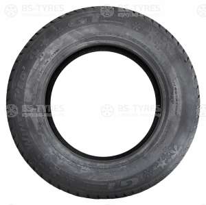 GT Radial Champiro WinterPro 2 205/55 R17 95H