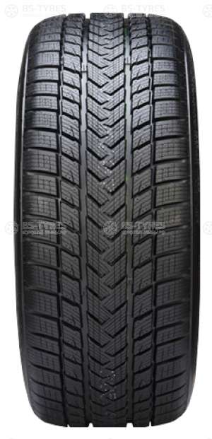 Gripmax Status Pro Winter 225/40 R18 92V