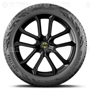 Ikon (Nokian Tyres) Autograph Snow 5 SUV 225/55 R18 105R