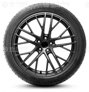 Rydanz Raleigh R06 225/60 R17 99V