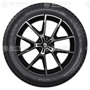 Triangle Snow PL01 215/55 R16 97R