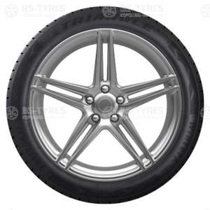 Triangle WinterX TW401 205/50 R17 93V