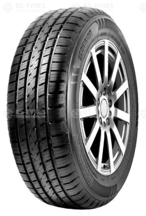 Ovation Ecovision VI-286HT 255/60 R17 110H